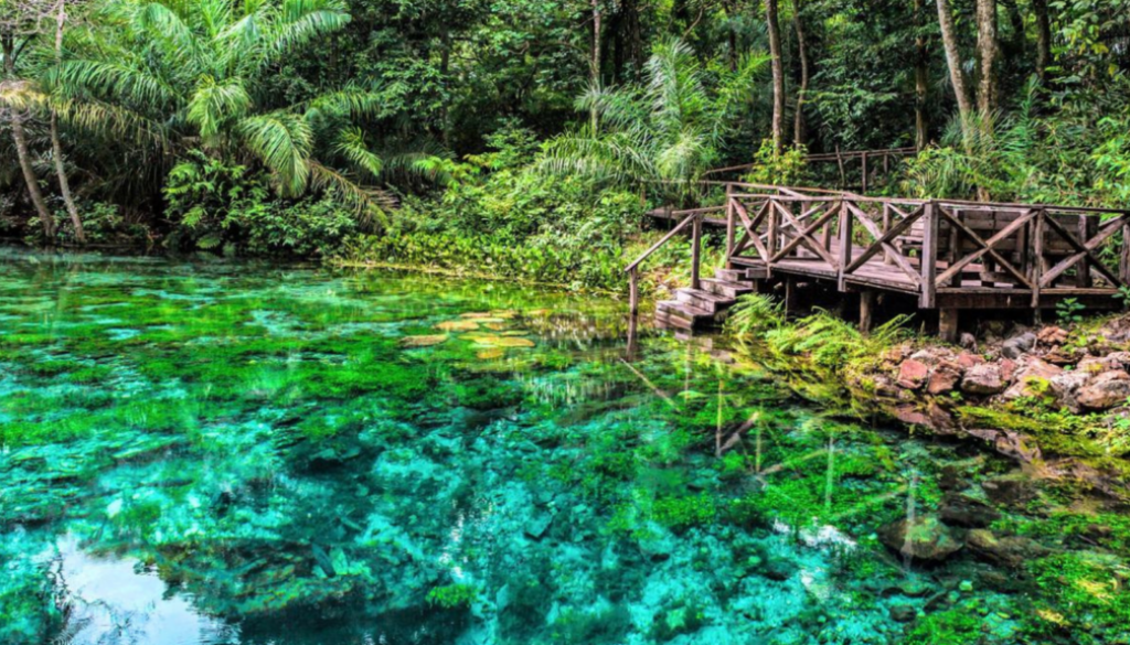 naturaleza